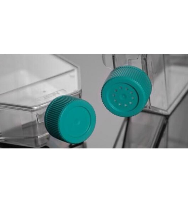 細(xì)胞培養(yǎng)瓶